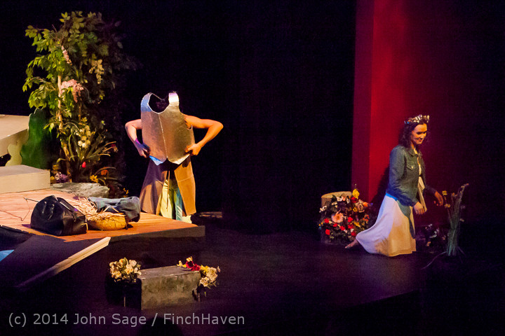 3499 Metamorphoses VHS Theater Arts 02092014