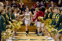 20608 VHS Girls Basketball Seniors Night 2014 021114