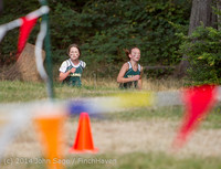 17184 VHS McM Cross Country All-League Meet 091614