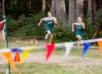 17192 VHS McM Cross Country All-League Meet 091614
