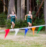 17195 VHS McM Cross Country All-League Meet 091614