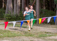 17206 VHS McM Cross Country All-League Meet 091614