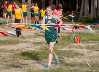 17251 VHS McM Cross Country All-League Meet 091614