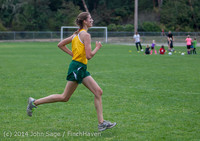 20301 VHS McM Cross Country All-League Meet 091614