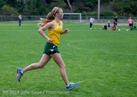 20334 VHS McM Cross Country All-League Meet 091614