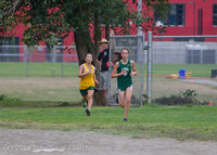 20380 VHS McM Cross Country All-League Meet 091614