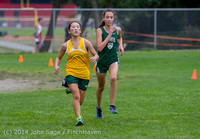 20404 VHS McM Cross Country All-League Meet 091614