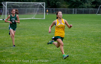 20416 VHS McM Cross Country All-League Meet 091614