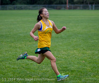 20423 VHS McM Cross Country All-League Meet 091614