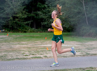 20462 VHS McM Cross Country All-League Meet 091614
