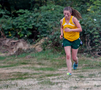 20522 VHS McM Cross Country All-League Meet 091614
