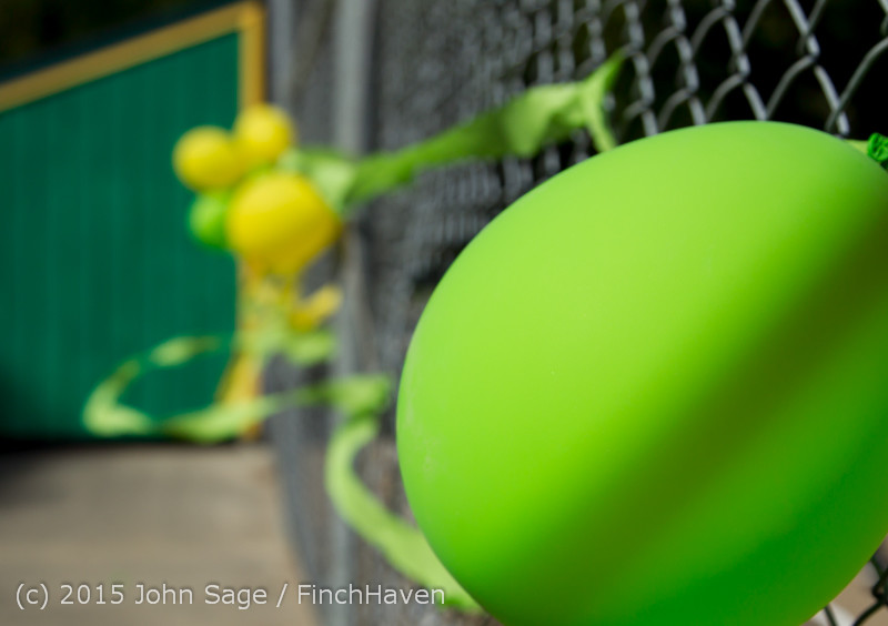 2368 VIHS Softball Seniors Night 2015 042915