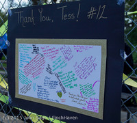 2427 VIHS Softball Seniors Night 2015 042915
