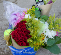 3957 VIHS Softball Seniors Night 2015 042915