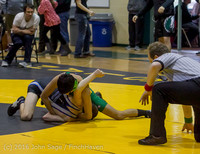 11 4917 Wrestling Sub-Regionals 020616