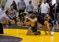 19 6295 Wrestling Sub-Regionals 020616