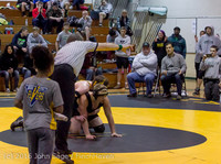 19 6550 Wrestling Sub-Regionals 020616
