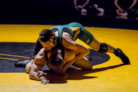 3768 Wrestling v Belle-Chr 011515