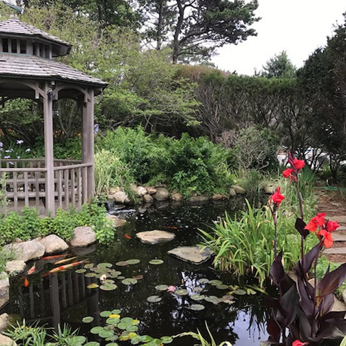 Highlights from the Gloucester Garden Tour FineGardening