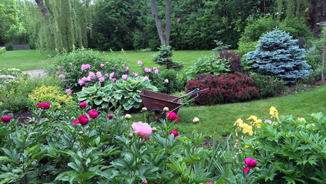 From Lawn to Beautiful Garden - FineGardening
