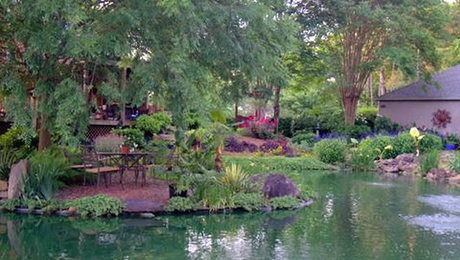 One Special Flower - FineGardening