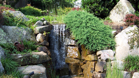 Eve's garden in Tennessee, Day 2: Containers - FineGardening