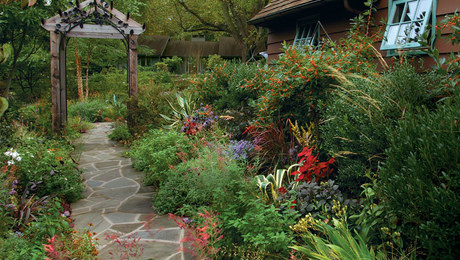 A Room with a View - FineGardening