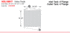 VOL18817-N-Volvo Truck  Charge Air Coolers