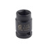 216FP-1/2 DR 1/2 FEMALE PIPE PLG SKT