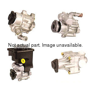 Power Steering Gears and Pumps