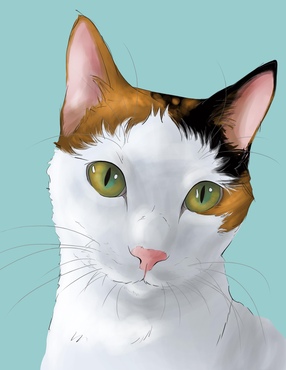 alt_text.html_safe