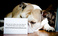 pet-modeling_ws_1370640862