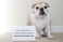 pet-modeling_ws_1370657219