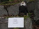 unique-unusual-gifts_ws_1370692533
