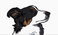 create-cartoon-caricatures_ws_1353974958