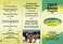 creative-brochure-design_ws_1353980208