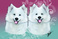 graphics-design_ws_1354029566