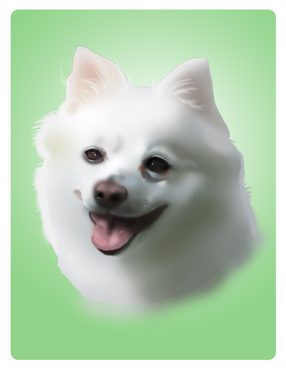 alt_text.html_safe