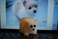 arts-crafts-gifts_ws_1357224941