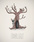 digital-illustration_ws_1357271849