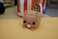 arts-crafts-gifts_ws_1357328399