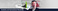 graphics-design_ws_1357359075