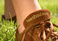 advertising-services_ws_1357442490