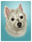create-cartoon-caricatures_ws_1370305206