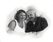 Illustration_work_sample_from_uconcept_1348448427