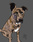 create-cartoon-caricatures_ws_1360112347