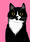 digital-illustration_ws_1360464108