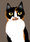 digital-illustration_ws_1360465247