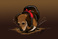 graphics-design_ws_1360472251