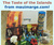 custom-fan-pages_ws_1361234299
